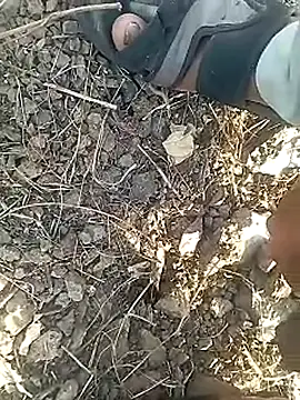 Snapshot of Cute_Boy_4 chatting on 02/12/26, 11:16 Cute Boy 4 online show from 02/12/26, 11:16