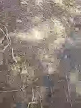 Snapshot of Cute_Boy_4 chatting on 03/14/26, 08:42 Cute Boy 4 online show from 03/14/26, 08:42