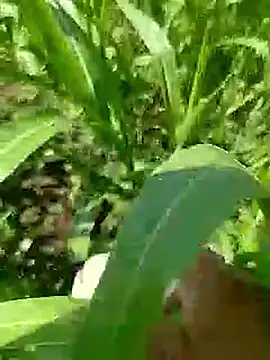 Snapshot of Cute_Boy_4 chatting on 04/23/26, 05:19 Cute Boy 4 online show from 04/23/26, 05:19