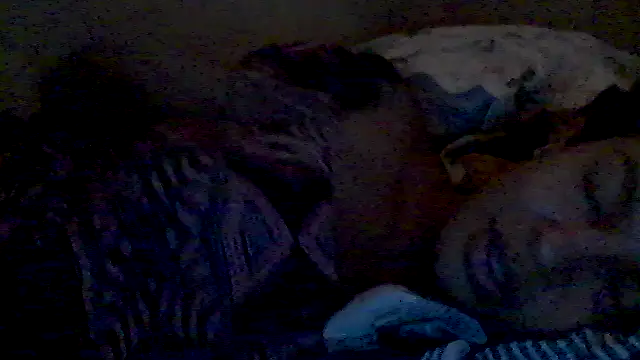 lorraine2036 online show from 02/17/26, 02:57