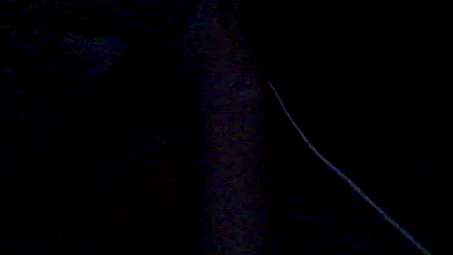 lorraine2036 online show from 02/28/26, 11:33