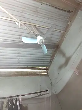 JordanX 01 online show from 04/03/26, 05:38