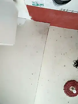 Snapshot of cynliu chatting on 04/14/26, 02:23 cynliu online show from 04/14/26, 02:23