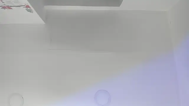 Paris Velvet online show from 03/18/26, 11:52