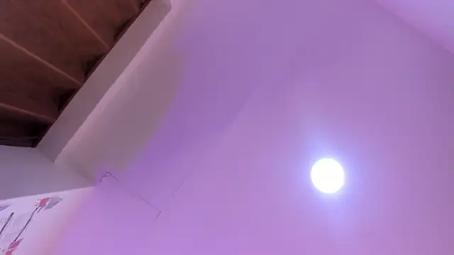 Paris Velvet online show from 04/08/26, 10:32