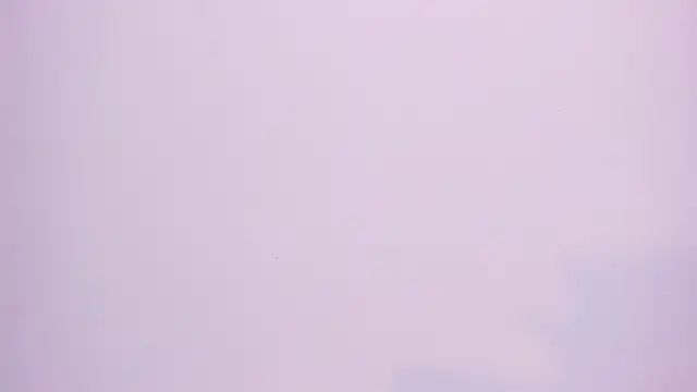 Paris Velvet online show from 05/16/26, 10:30