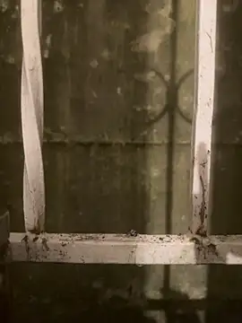 Diggaoder online show from 04/21/26, 03:46