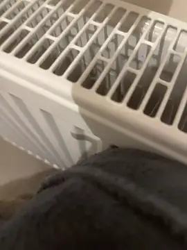 Diggaoder online show from 04/23/26, 03:41