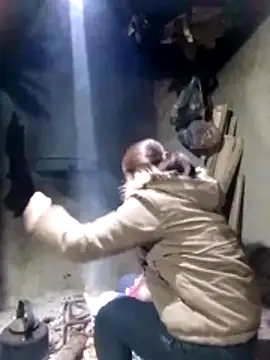 Snapshot of maimai1100 chatting on 02/03/26, 12:42 maimai1100 online show from 02/03/26, 12:42