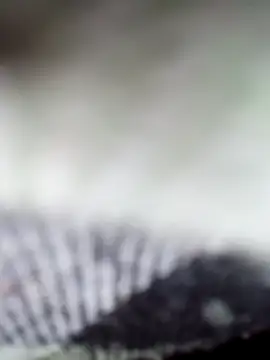 Sexy-Sony770 online show from 02/07/26, 09:07