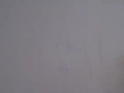 Snapshot of placerverdadero chatting on 02/15/26, 05:48 placerverdadero online show from 02/15/26, 05:48