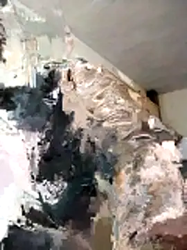 Snapshot of BoxedDitty chatting on 02/21/26, 03:18 BoxedDitty online show from 02/21/26, 03:18