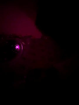 Raj teluguboy online show from 03/06/26, 07:43