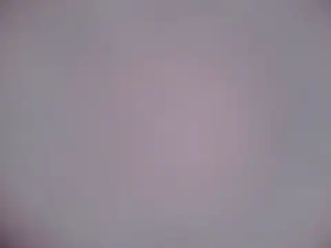 Snapshot of Luanatrav1 chatting on 02/21/26, 07:31 Luanatrav1 online show from 02/21/26, 07:31