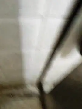 Gordinho dos pes online show from 03/20/26, 03:33