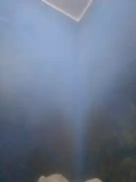 S7LEALTADPERVLIMA7 online show from 04/12/26, 06:02