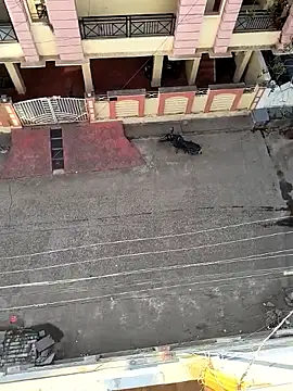 Castrol1289 online show from 02/11/26, 03:00