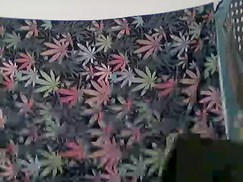 libraxxxstudios online show from 06/12/26, 12:37