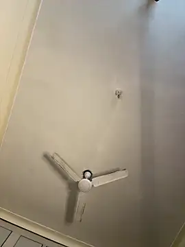 torchermachine online show from 04/08/26, 08:20