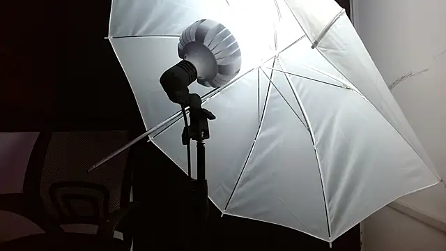 Snapshot of Miss_Merrie chatting on 03/01/26, 10:06 Miss Merrie online show from 03/01/26, 10:06