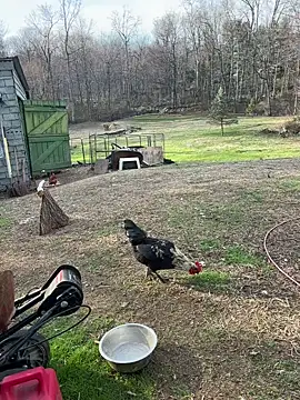 tommattsonn online show from 03/22/26, 09:40