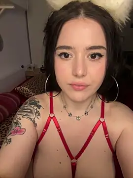 Snapshot of Venustrapp chatting on 02/14/26, 02:47 Venustrapp online show from 02/14/26, 02:47