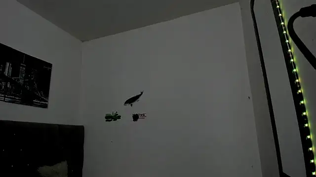  1DERECK online show from 04/15/26, 10:22