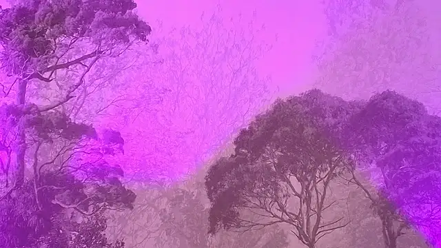 Snapshot of Elizabeth_Ferrer chatting on 03/16/26, 12:09 Elizabeth Ferrer online show from 03/16/26, 12:09