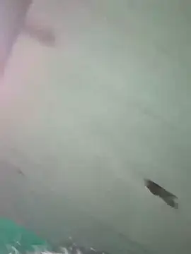 Hot ras28 online show from 02/19/26, 07:54