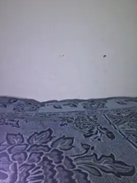 Sakeemaxxy online show from 04/13/26, 09:09