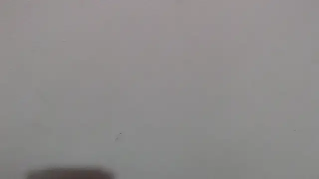 im angel777 online show from 02/04/26, 10:04