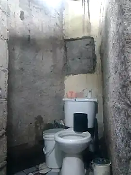 polla large active online show from 04/12/26, 06:35