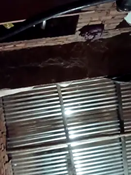 Hot ree64 online show from 03/27/26, 05:23