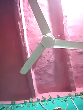 pakhi126 online show from 02/17/26, 09:43