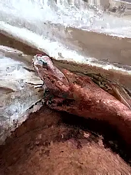 manish 8826 online show from 04/06/26, 01:36