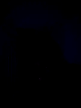 Snapshot of Telugucouple69 chatting on 02/15/26, 10:17 Telugucouple69 online show from 02/15/26, 10:17