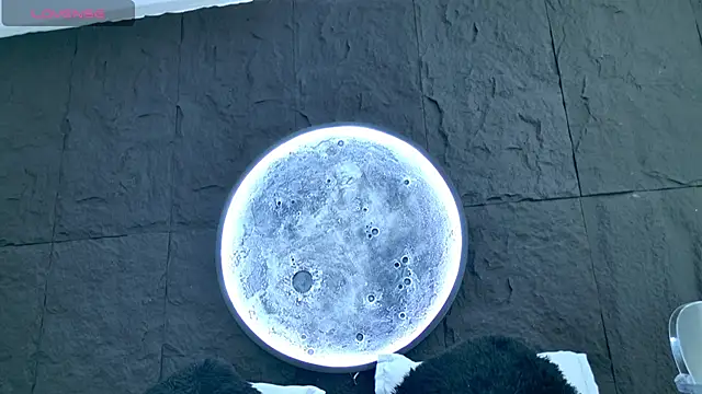 Alice-Bunny online show from 02/18/26, 08:27