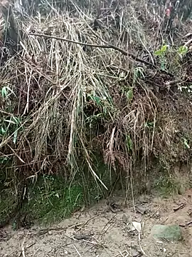 Snapshot of aiai220 chatting on 03/25/26, 01:22 aiai220 online show from 03/25/26, 01:22