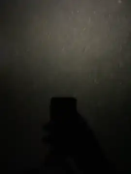 stallone italiano 62 online show from 02/11/26, 08:47