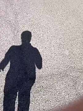 stallone italiano 62 online show from 03/17/26, 11:24