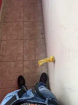 novinhogozando online show from 02/19/26, 07:43