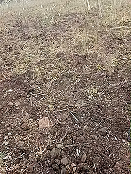 yusu 3 online show from 02/23/26, 11:40