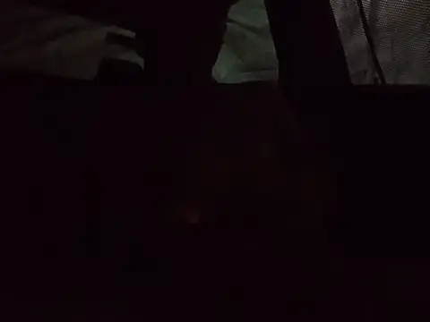 3lMara online show from 05/16/26, 10:36
