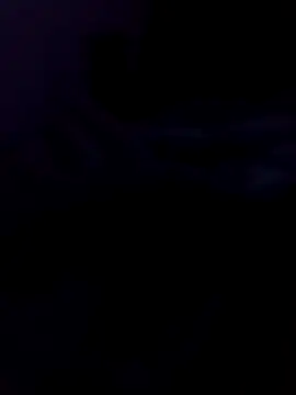 saraborges online show from 08/02/26, 11:36