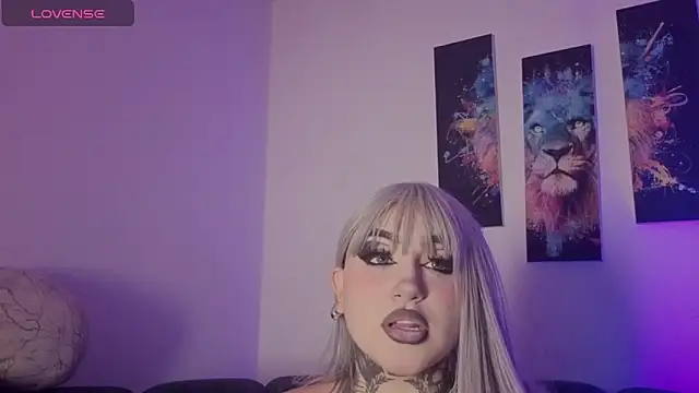 meowboo online show from 05/14/26, 07:53