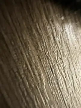 brayangz  online show from 04/08/26, 12:43