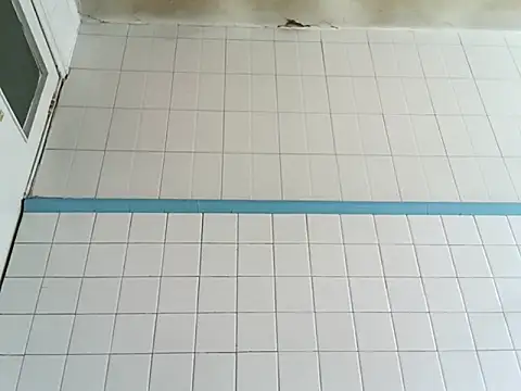 Lord Govinda online show from 04/14/26, 03:18