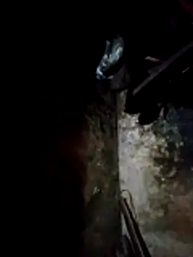 molly-xx online show from 03/13/26, 11:00