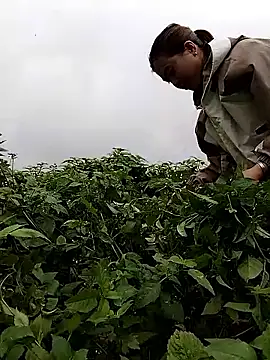 lovely-742 online show from 02/28/26, 01:50