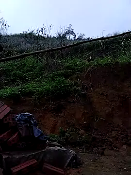 lovely-742 online show from 03/12/26, 02:07